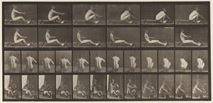 Plate 328. Roing av Eadweard Muybridge