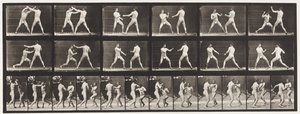 Plate 329. Boksing; (Sko) av Eadweard Muybridge