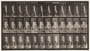 Plate 32. Gående, bære bøtte med vann i hver hånd av Eadweard Muybridge