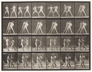 Tallerken 330. Boksing; Cross-counter (sko) av Eadweard Muybridge