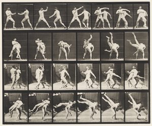 Plate 332. Boksing; Cross-rumper (sko) av Eadweard Muybridge