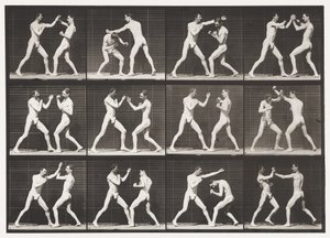 Plate 336. Boksing; Åpen hånd (sko) av Eadweard Muybridge