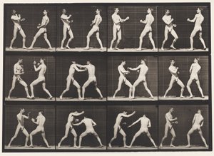 Plate 338. Boksing; Åpen hånd (sko) av Eadweard Muybridge