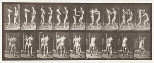 Plate 339. Boksing; Åpen hånd av Eadweard Muybridge