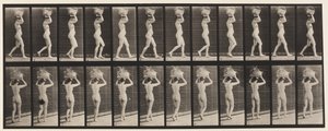 Plate 33. Gående, 14-lb. Kurv på hodet, hender hevet, 1872-1885 av Eadweard Muybridge