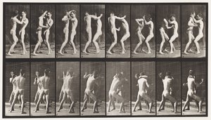 Plate 341. Boksing; Åpen hånd av Eadweard Muybridge