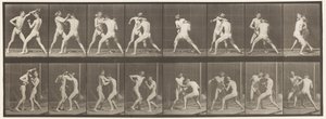 Plate 342. Boksing; Åpen hånd, 1872-1885 av Eadweard Muybridge