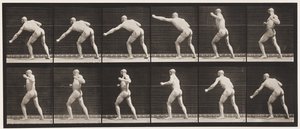 Plate 343. Slå et slag (venstre hånd) av Eadweard Muybridge