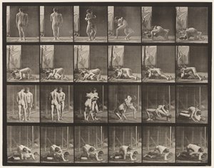 Plate 346. Bryting, Lås av Eadweard Muybridge