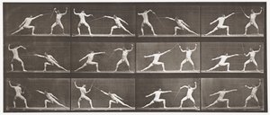 Plate 349. Gjerde, 1872-1885 av Eadweard Muybridge