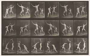 Plate 350. Gjerde av Eadweard Muybridge