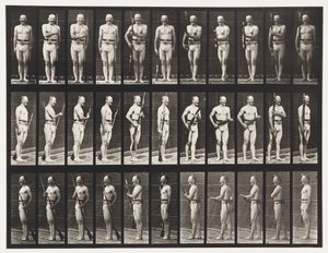 Plate 351. Fix and Unfix bajonetter, 1872-1885 av Eadweard Muybridge
