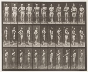 Plate 352. Skulder-, ordens- og bærearmer av Eadweard Muybridge