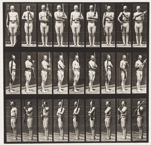 Plate 353. Støttearmer og våpenport, 1872-1885 av Eadweard Muybridge