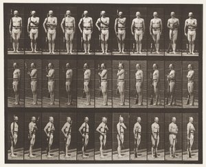 Plate 354. Bærearmer, paradestøtte og stiarmer av Eadweard Muybridge