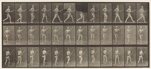 Plate 359. Ladebajonett, 1872-1885 av Eadweard Muybridge