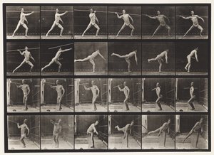 Plate 361. Kaste et spyd, 1872-1885 av Eadweard Muybridge