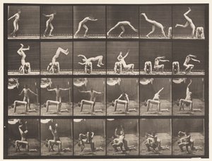 Plate 364. Håndfjær over mannens rygg av Eadweard Muybridge