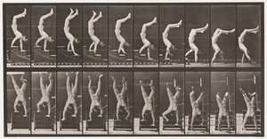 Tavle 368. Akrobat, nedgående trapper på hender av Eadweard Muybridge