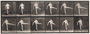 Plate 369. Første ballettaksjon av Eadweard Muybridge