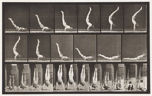 Plate 372. Acrobat, Horisontal Press Up av Eadweard Muybridge