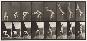Plate 373. Akrobat, trykk opp fra stolen av Eadweard Muybridge