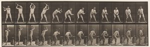 Plate 376. Smed, hamring på ambolt, to hender, 1872-1885 av Eadweard Muybridge