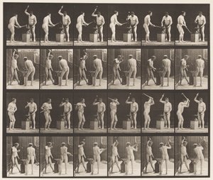 Plate 377. Smed, to modeller, hamring på Advil, 1872-1885 av Eadweard Muybridge