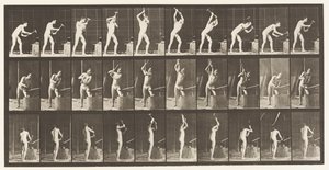 Plate 378. Smed, hamring på ambolt, to hender av Eadweard Muybridge