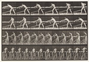 Plate 379. Snekker, høvle et bord, 1872-1885 av Eadweard Muybridge