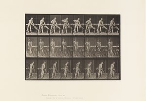 Plate 380. Snekker, Saging, 1872-1885 av Eadweard Muybridge