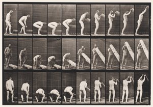 Plate 382. Lifting A Log on End, 1872-1885 av Eadweard Muybridge