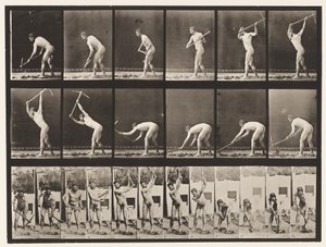 Plate 385. Farmer, Using a Pick, 1872-1885 av Eadweard Muybridge