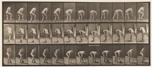 Plate 388. Bonde, med spade, 1872-1885 av Eadweard Muybridge