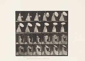 Plate 38. Walking, åpningsparasoll, 1885 av Eadweard Muybridge