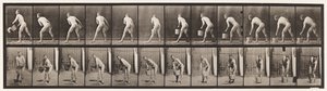 Plate 398. Løfter en bøtte med vann til tom, 1872-1885 av Eadweard Muybridge