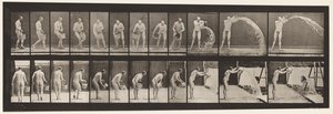 Plate 399. Tømmebøtte med vann, 1872-1885 av Eadweard Muybridge