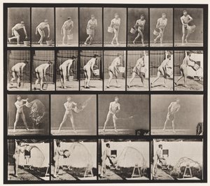 Tallerken 400. Tømmebøtte med vann, 1872-1885 av Eadweard Muybridge