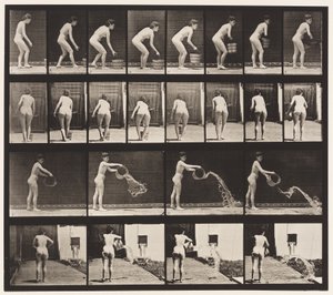 Tallerken 401. Tømmebøtte med vann av Eadweard Muybridge