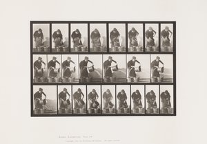 Tallerken 403. Tømmebøtte med vann av Eadweard Muybridge