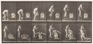 Plate 406. To modeller, 8 bøtte med vann over 1 av Eadweard Muybridge