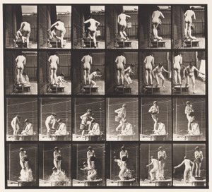 Plate 407. To modeller, 8 bøtte med vann over 1 av Eadweard Muybridge