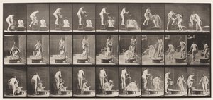 Plate 408. To modeller av Eadweard Muybridge
