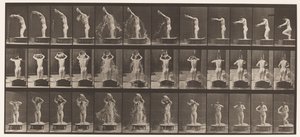 Plate 409. Helle bassenget med vann over hodet av Eadweard Muybridge