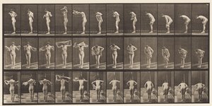 Tallerken 414. Tørkekropp med håndkle av Eadweard Muybridge