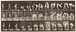 Tallerken 419. Toalett, Bøyd, Kaste Wrap Around Skuldre av Eadweard Muybridge