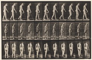 Tallerken 42. Gå, helle vann fra pitcher av Eadweard Muybridge
