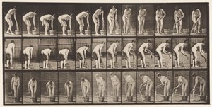 Tallerken 433. Vridende klær av Eadweard Muybridge