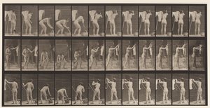 Plate 434. Hengende klær på linje, 1872-1885 av Eadweard Muybridge