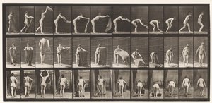 Plate 439. Spre et teppe på gulvet, 1872-1885 av Eadweard Muybridge